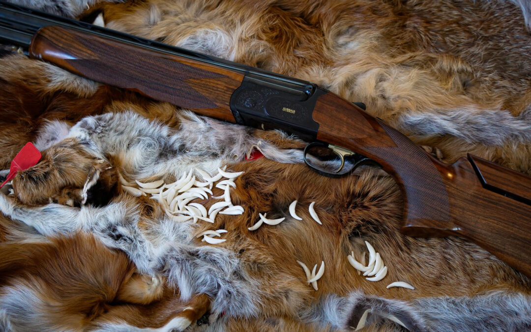 Winterzauber – Es locken die roten Bälge