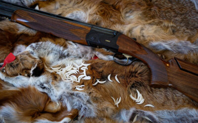 Winterzauber – Es locken die roten Bälge